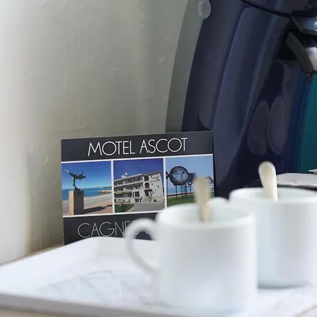 Aparthotel Ascot - &