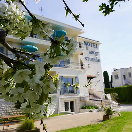 Ascot - & Cagnes-sur-Mer