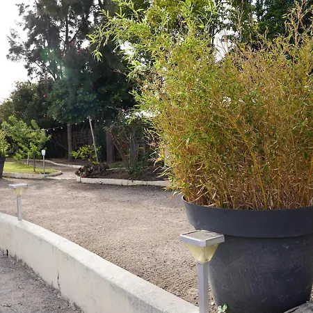 Aparthotel Ascot - & Cagnes-sur-Mer